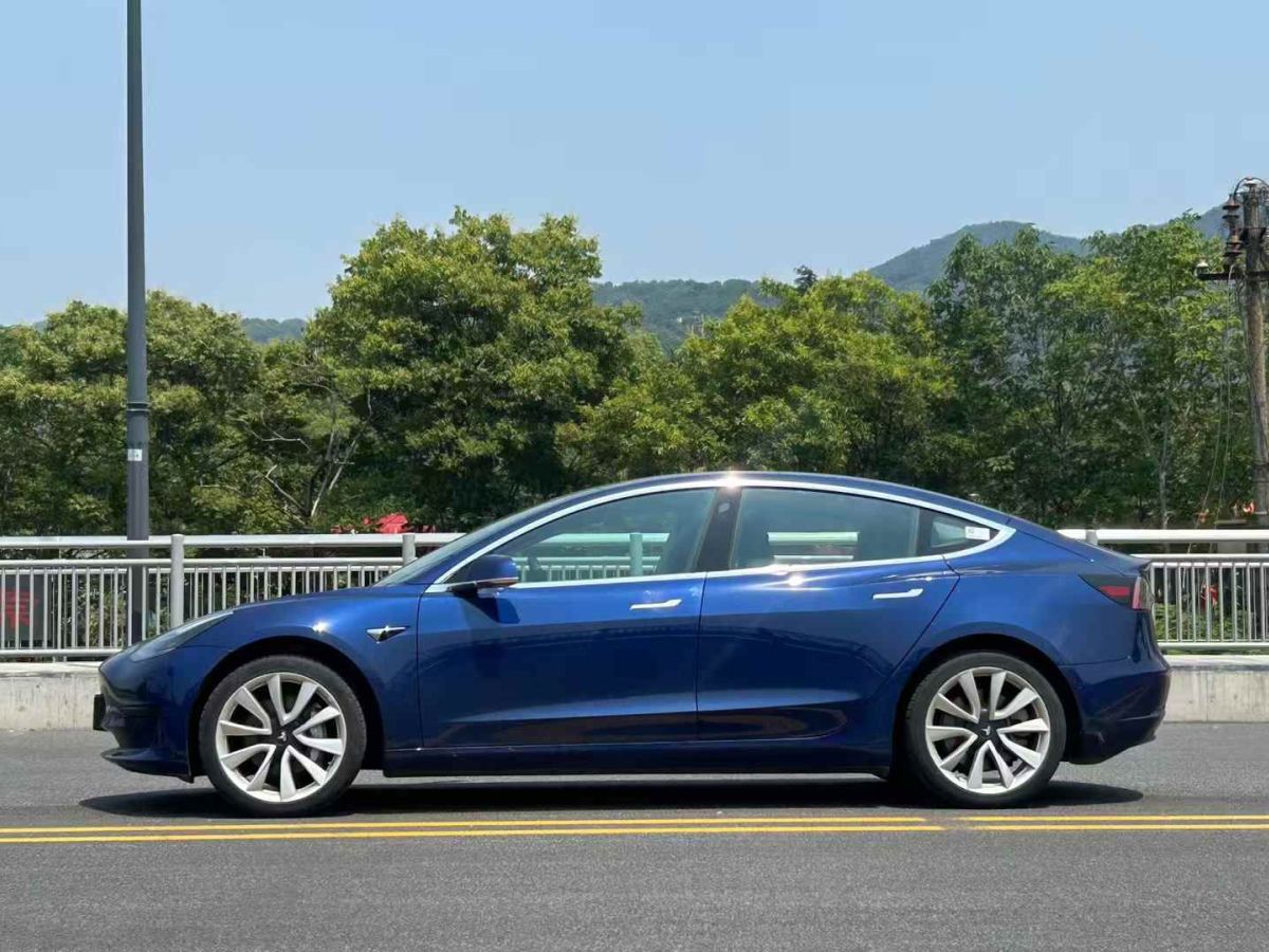 特斯拉 Model 3  2020款 標(biāo)準(zhǔn)續(xù)航后驅(qū)升級版圖片