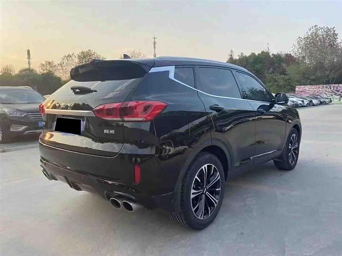 WEY VV6  2020款 2.0T 兩驅(qū)智護(hù)+圖片