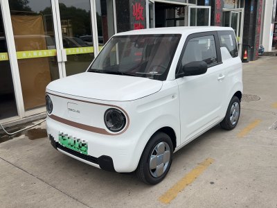 2024年8月 吉利 熊猫mini 熊猫mini 200km 龙腾版图片