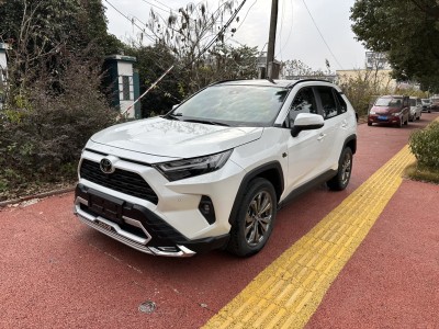 2023年6月 豐田 RAV4榮放 2.0L CVT兩驅(qū)20周年鉑金紀(jì)念版圖片