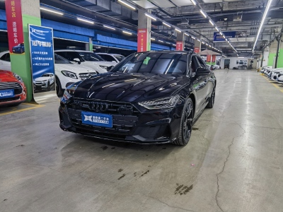 2024年2月 奧迪 奧迪A7L 45 TFSI quattro S-line 黑武士版圖片