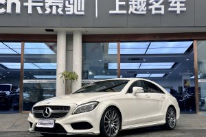 奔驰CLS级 奔驰 CLS 320逸彩版