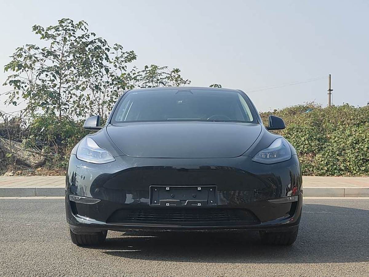 特斯拉 Model 3  2021款 改款 標準續(xù)航后驅升級版圖片