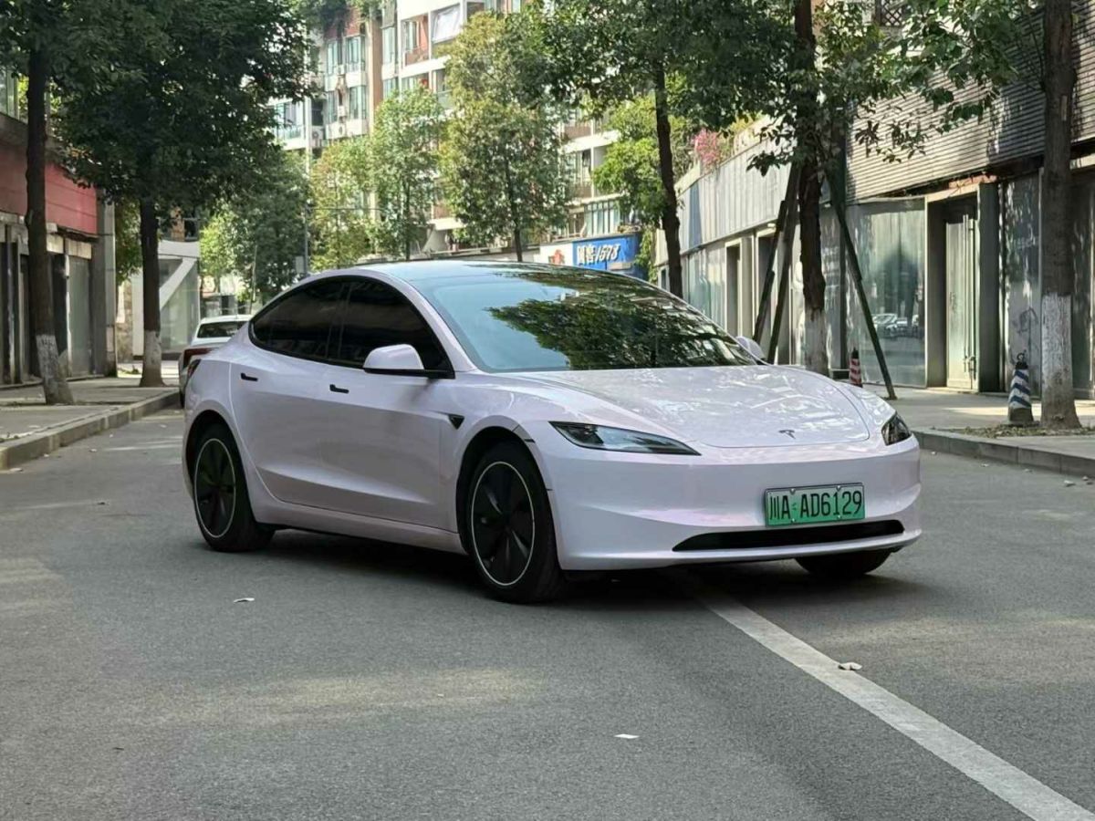 特斯拉 Model Y  2024款 Performance高性能版圖片