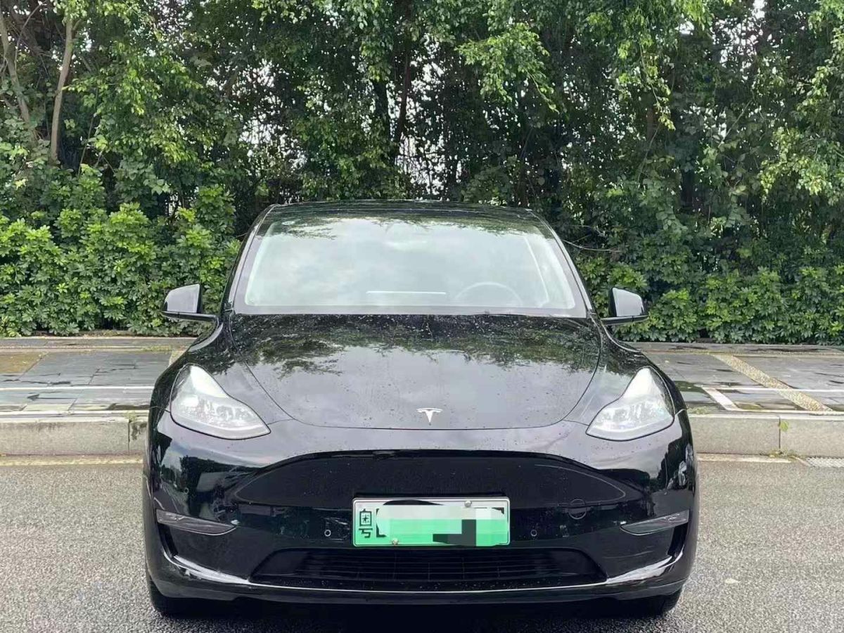 特斯拉 Model Y  2022款 Performance高性能全輪驅(qū)動(dòng)版圖片