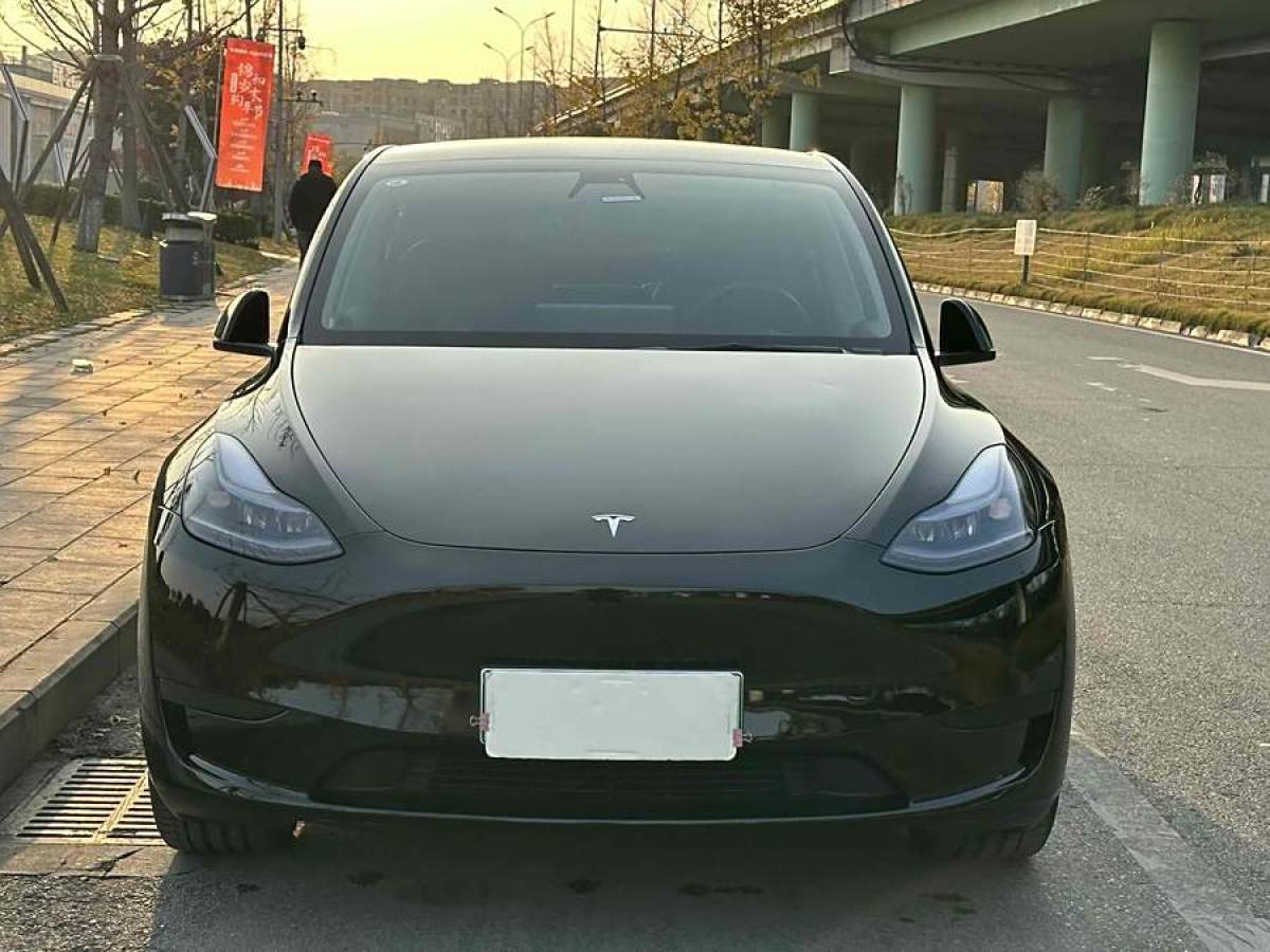 特斯拉 Model 3  2020款 改款 長(zhǎng)續(xù)航后輪驅(qū)動(dòng)版圖片