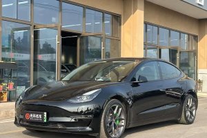 Model 3 特斯拉 改款 Performance高性能全輪驅(qū)動(dòng)版