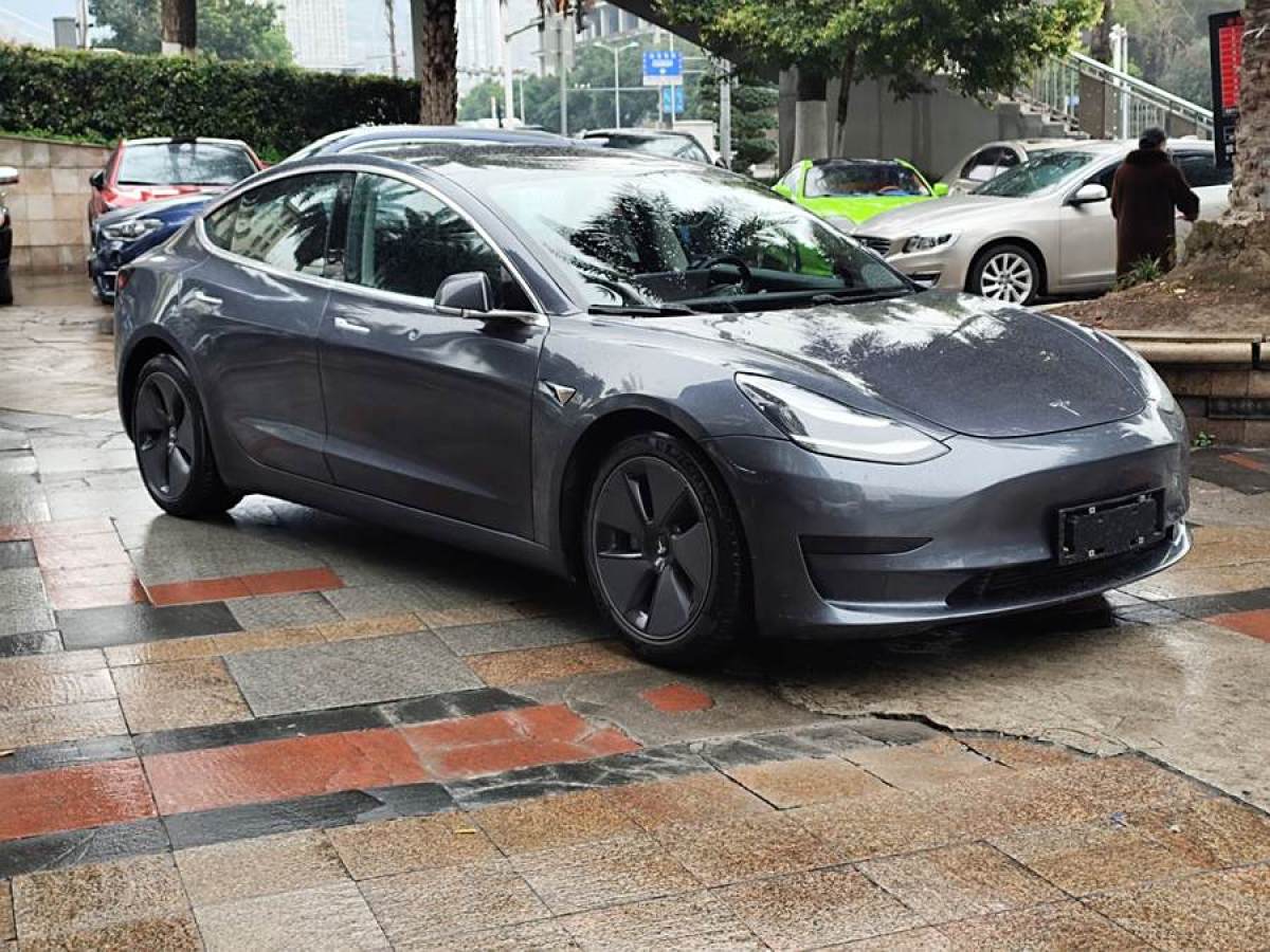 2021年1月特斯拉 Model 3  2020款 改款 標(biāo)準(zhǔn)續(xù)航后驅(qū)升級版