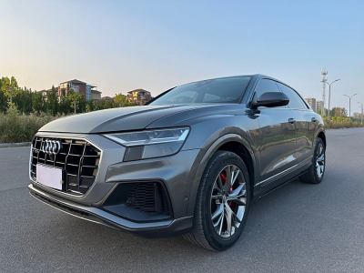 2020年2月 奧迪 奧迪Q8(進口) 55 TFSI 豪華動感型圖片