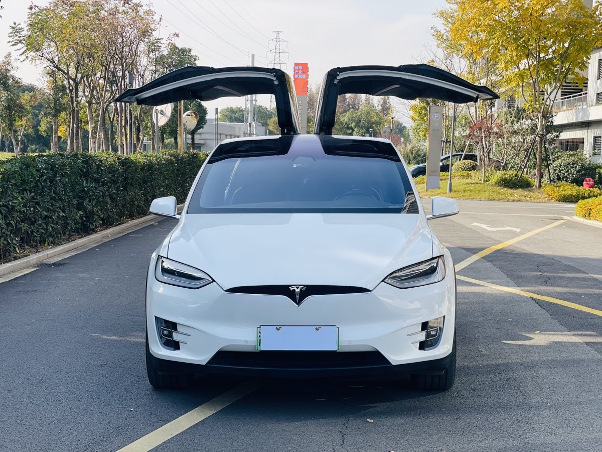 特斯拉 Model X  2019款 標(biāo)準(zhǔn)續(xù)航版圖片