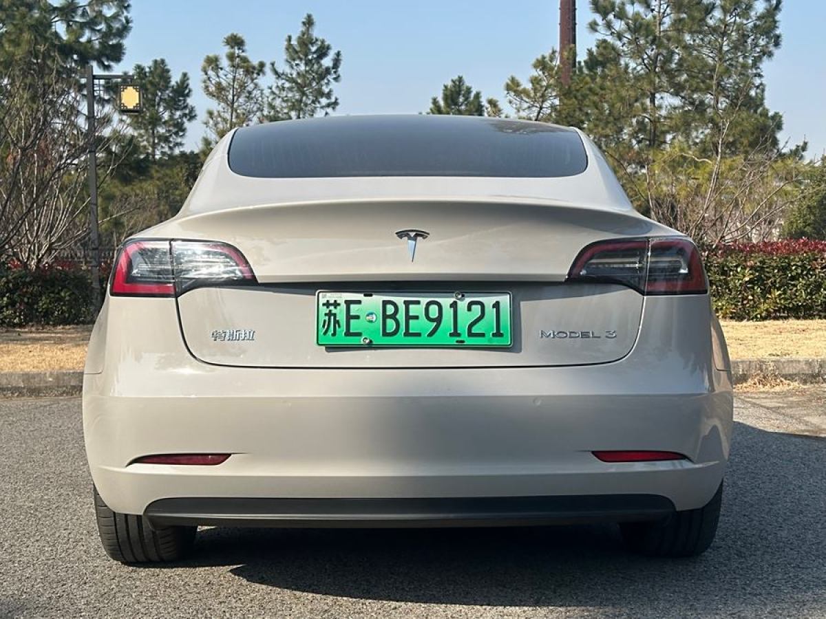 特斯拉 Model 3  2019款 標準續(xù)航后驅升級版圖片