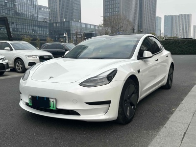 2022年1月 特斯拉 Model 3 標(biāo)準(zhǔn)續(xù)航后驅(qū)升級版 3D6圖片