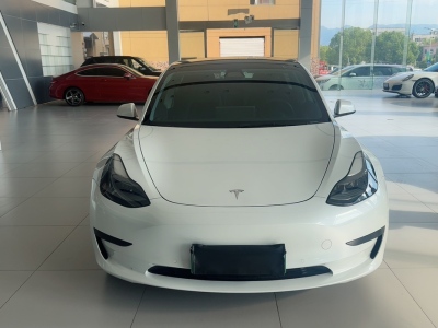 特斯拉 Model 3 标准续航后驱升级版图片