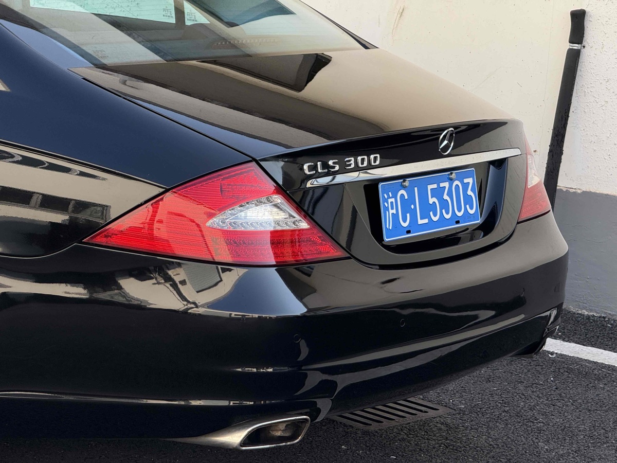 奔馳 奔馳CLS級(jí)  2009款 CLS 300圖片