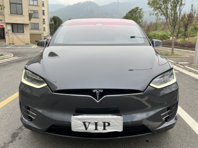 2019年08月 特斯拉 Model X 標準續(xù)航版圖片