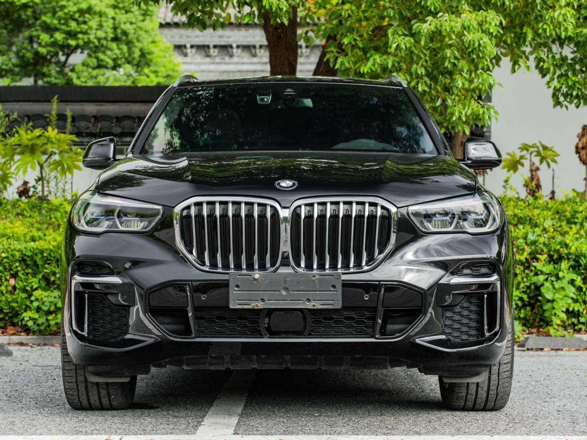 宝马 宝马X5  2022款 改款 xDrive 30Li M运动套装图片