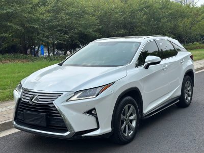 2019年2月 雷克萨斯 RX 300 两驱舒适版 国VI图片