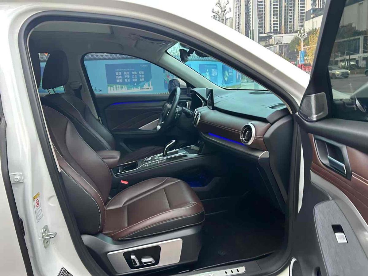 WEY VV6  2019款  2.0T 兩驅(qū)超豪型 國(guó)VI圖片