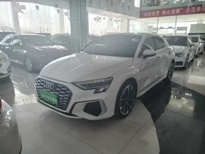 2024年6月 奧迪 奧迪A3 A3L Limousine 35 TFSI 時尚致雅型圖片