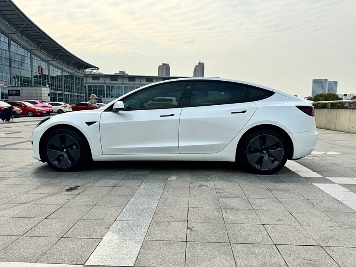 特斯拉 Model 3  2021款 改款 標(biāo)準(zhǔn)續(xù)航后驅(qū)升級版圖片