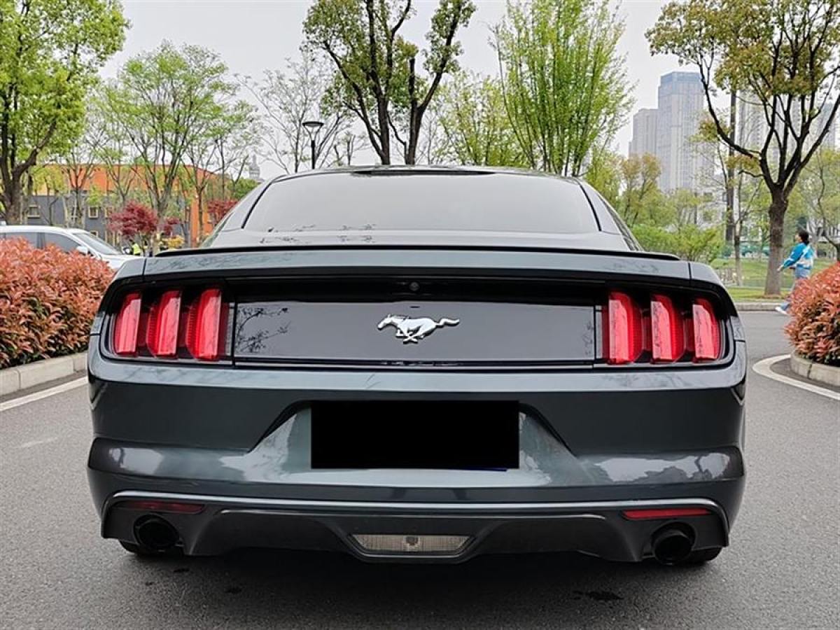 福特 Mustang  2016款 2.3T 性能版圖片