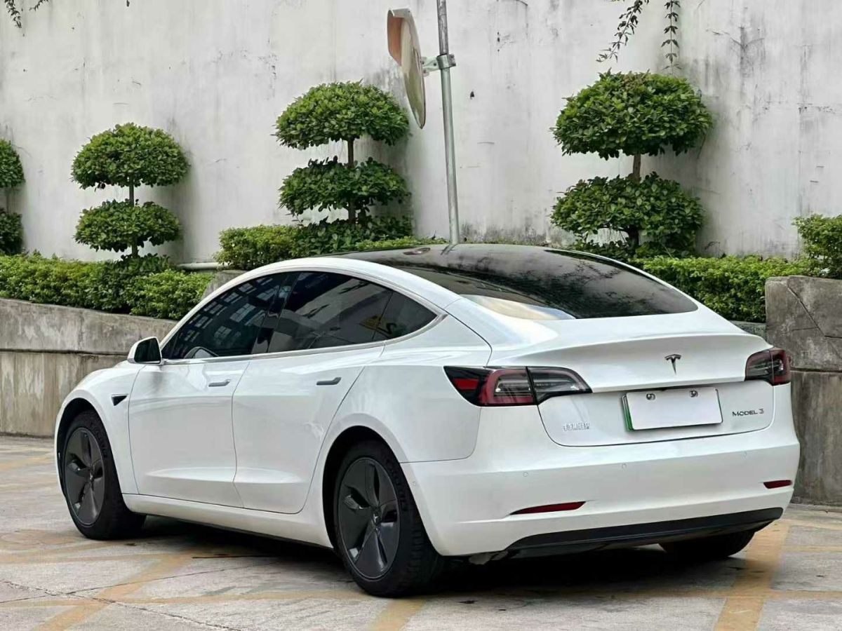 特斯拉 Model 3  2020款 標準續(xù)航后驅升級版圖片