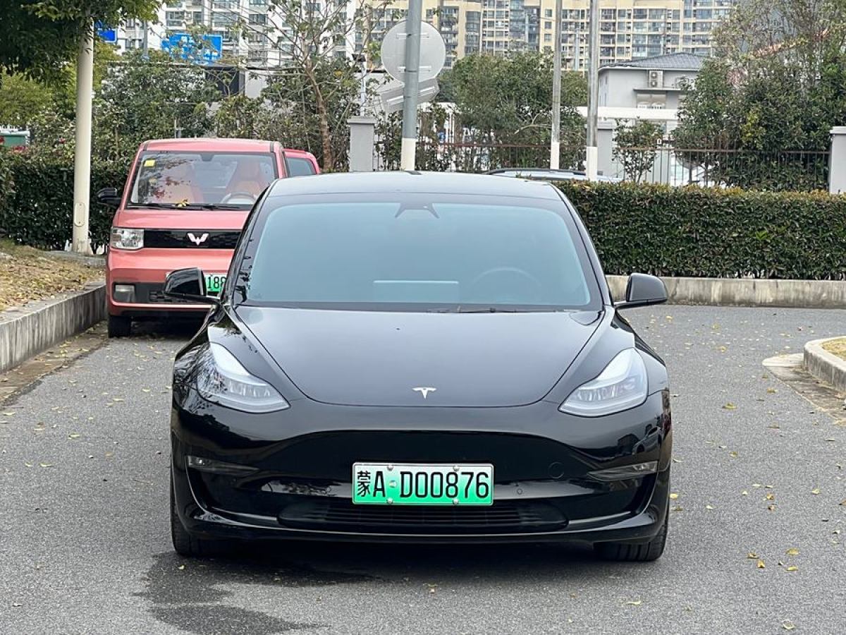 特斯拉 Model Y  2021款 Performance高性能全輪驅(qū)動(dòng)版圖片