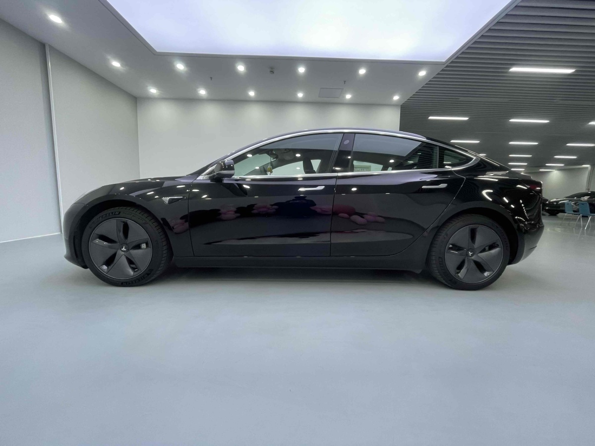 特斯拉 Model 3  2020款 改款 标准续航后驱升级版图片