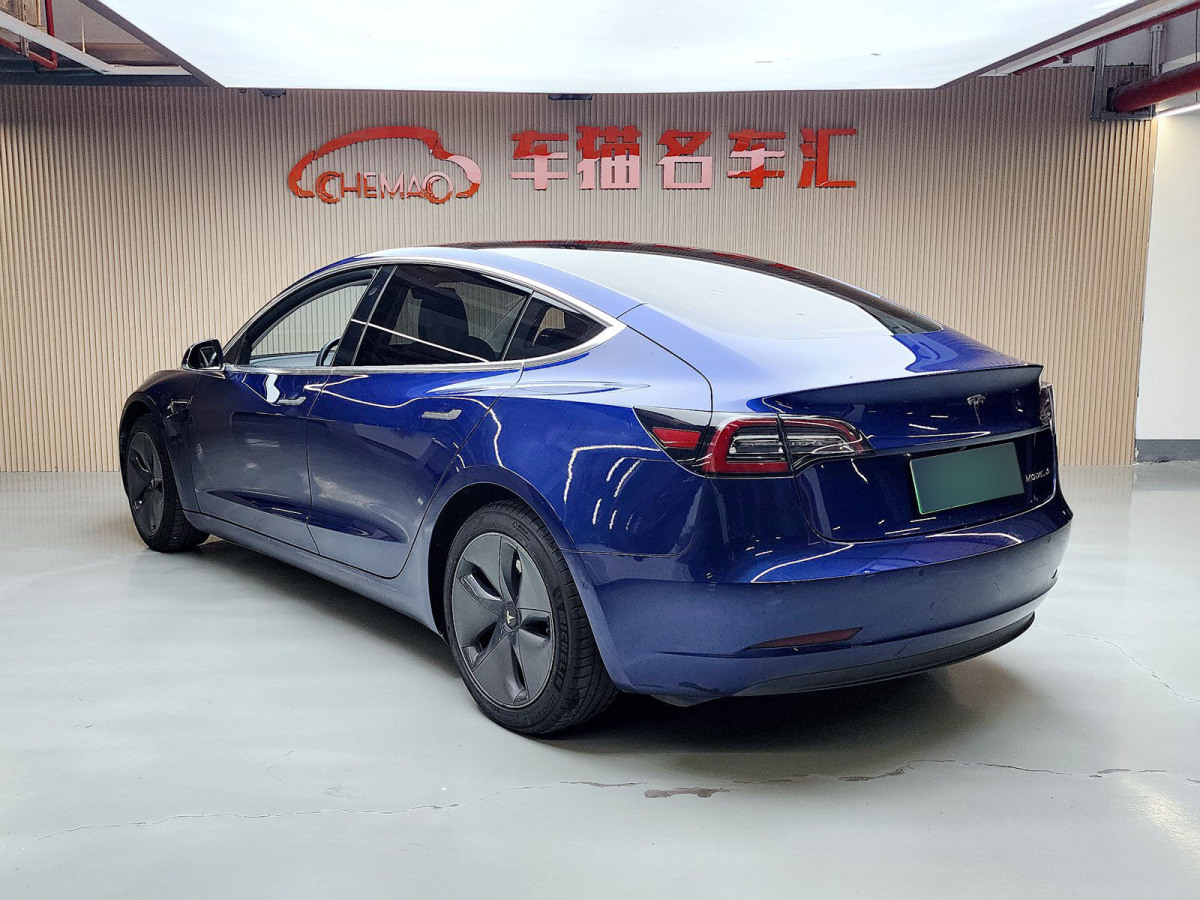 特斯拉 Model 3  2019款 标准续航后驱升级版图片