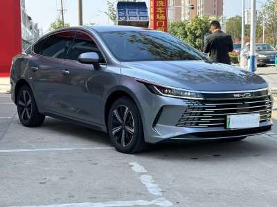 2024年3月 比亚迪 驱逐舰05 冠军版 DM-i 120KM 豪华型图片