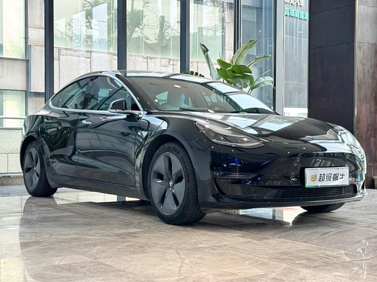 特斯拉 Model 3  2019款 長續(xù)航后驅(qū)版圖片