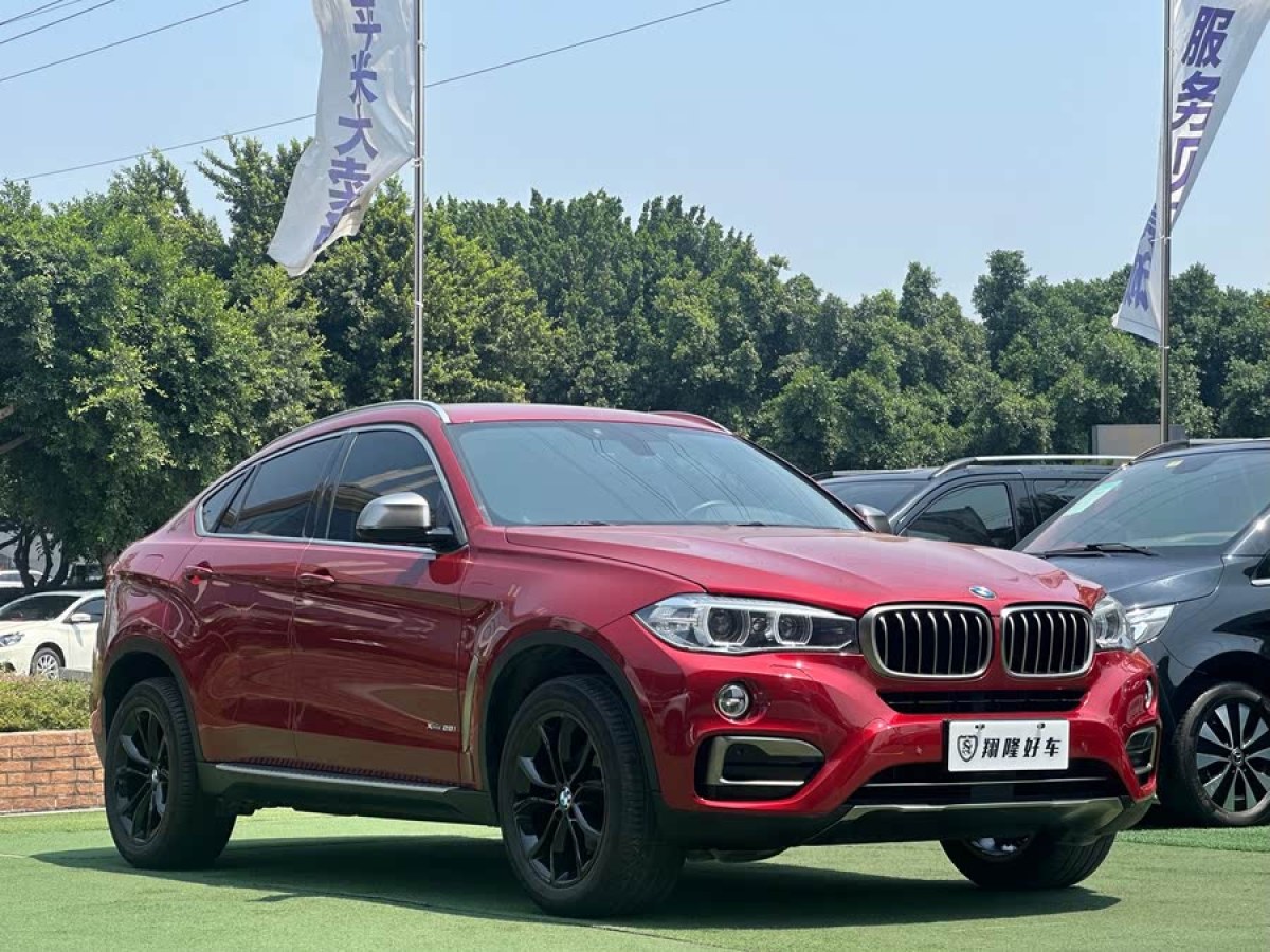 寶馬 寶馬X6  2017款 xDrive35i 領(lǐng)先型圖片