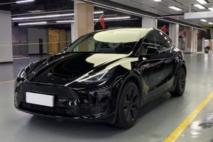 Model Y 特斯拉 后輪驅(qū)動(dòng)版