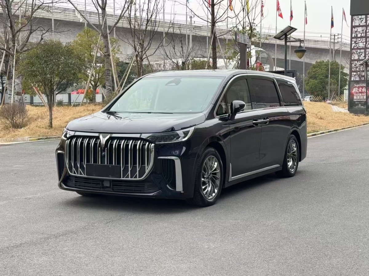 嵐圖 嵐圖追光  2024款 PHEV 四驅(qū)超長續(xù)航旗艦版圖片
