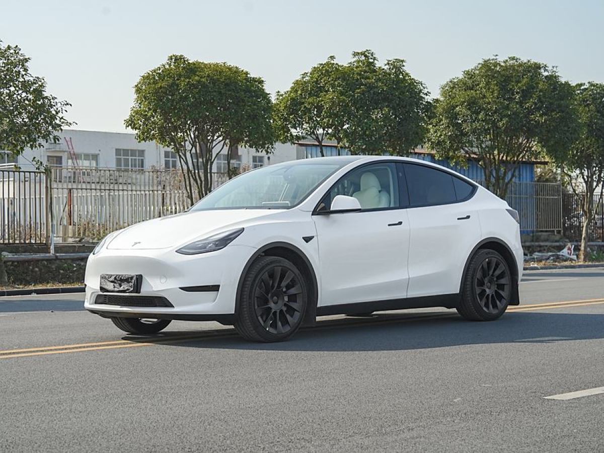 特斯拉 Model 3  2020款 改款 長(zhǎng)續(xù)航后輪驅(qū)動(dòng)版圖片