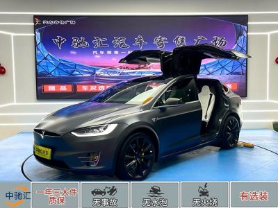 2019年3月 特斯拉 Model X Model X 100D 長續(xù)航版圖片