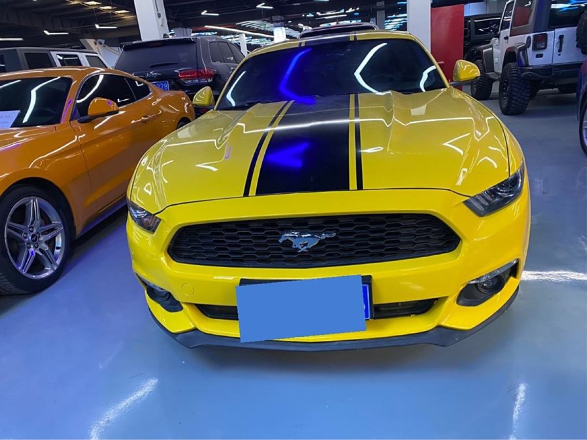 福特 Mustang  2015款 2.3T 性能版圖片