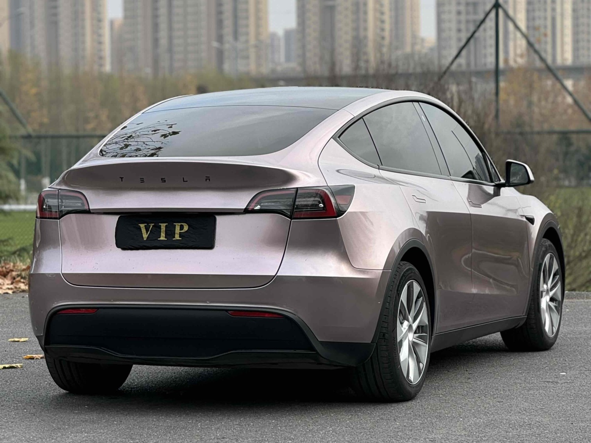 特斯拉 Model Y  2022款 后轮驱动版图片