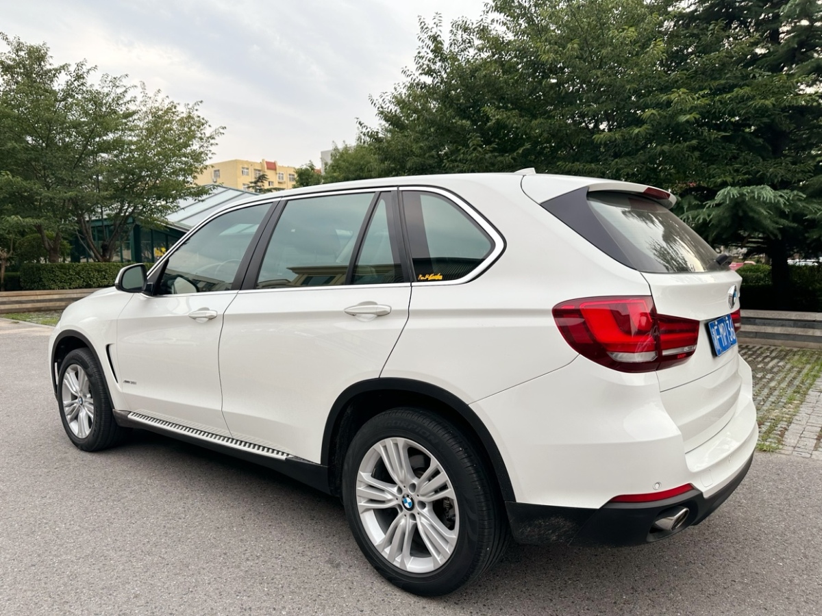 寶馬 寶馬X5  2014款 xDrive35i 領(lǐng)先型圖片