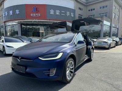 2020年11月 特斯拉 Model X 長(zhǎng)續(xù)航版圖片