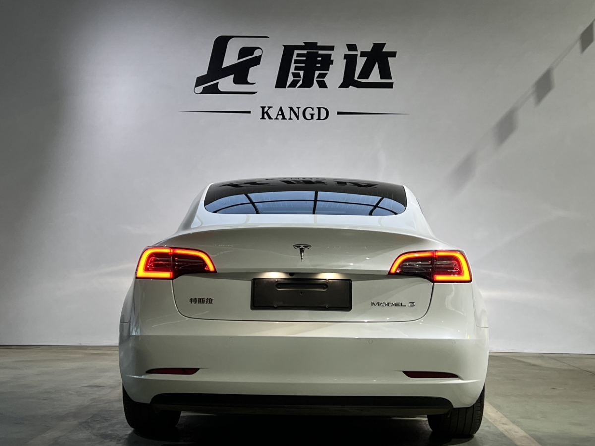 特斯拉 Model 3  2019款 標(biāo)準(zhǔn)續(xù)航后驅(qū)升級(jí)版圖片