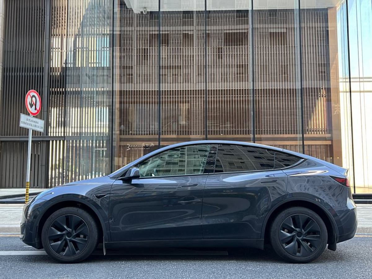 特斯拉 Model Y  2020款 改款 長續(xù)航后輪驅(qū)動版圖片