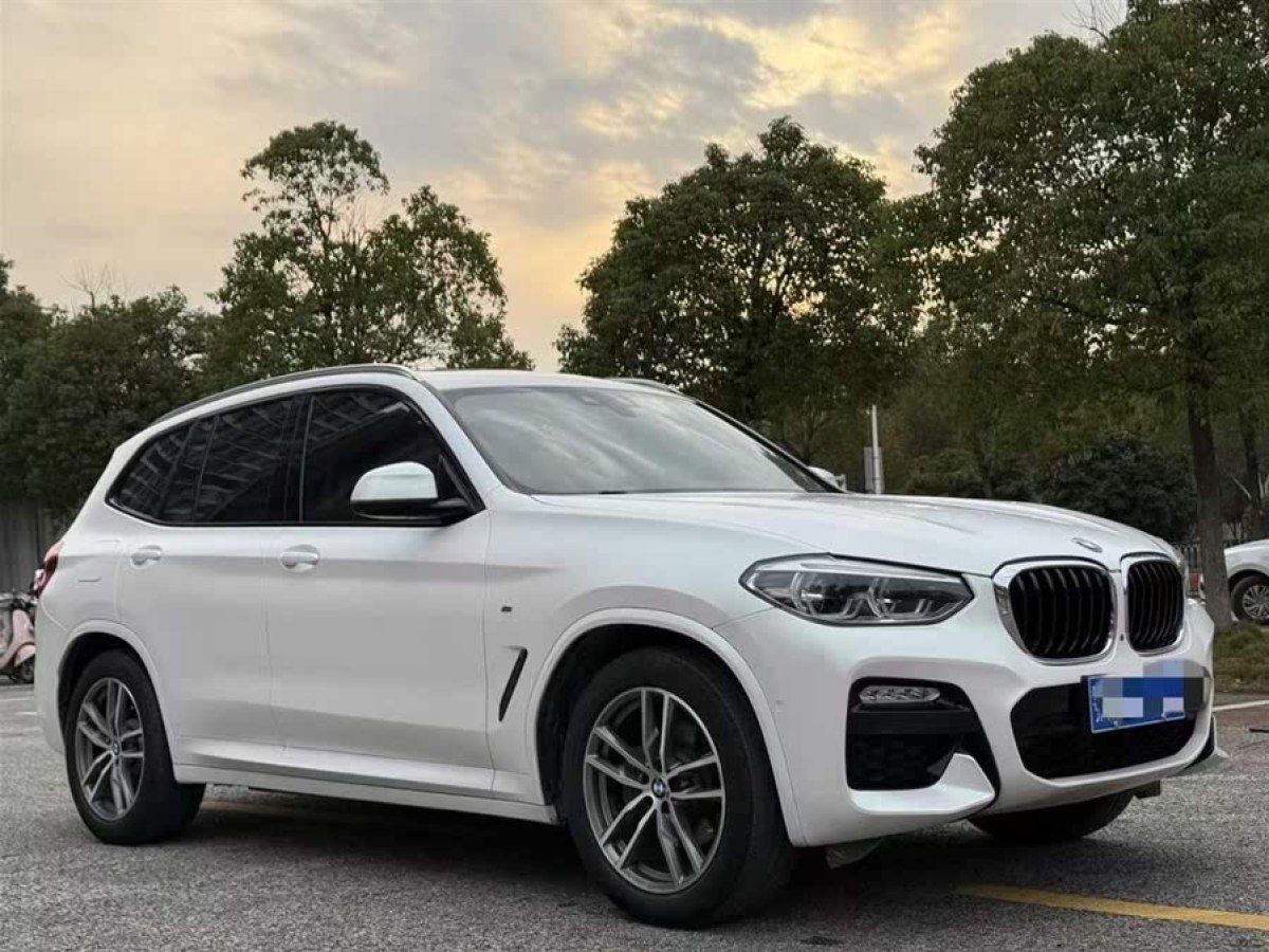 寶馬 寶馬X3  2018款 xDrive25i M運(yùn)動套裝 國VI圖片