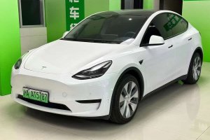 Model Y 特斯拉 改款 后輪驅(qū)動(dòng)版