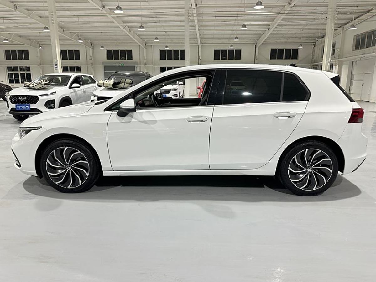 大眾 高爾夫  2021款 280TSI DSG Pro圖片