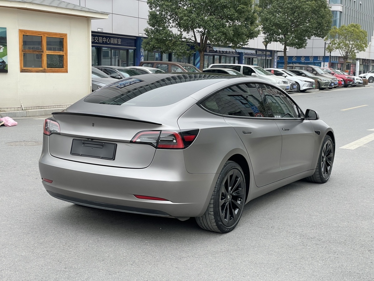 特斯拉 Model 3  2021款 標(biāo)準(zhǔn)續(xù)航后驅(qū)升級(jí)版 3D6圖片