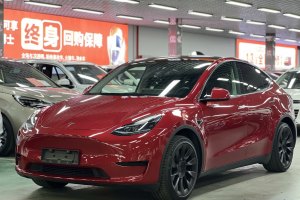 Model Y 特斯拉 改款 长续航后轮驱动版