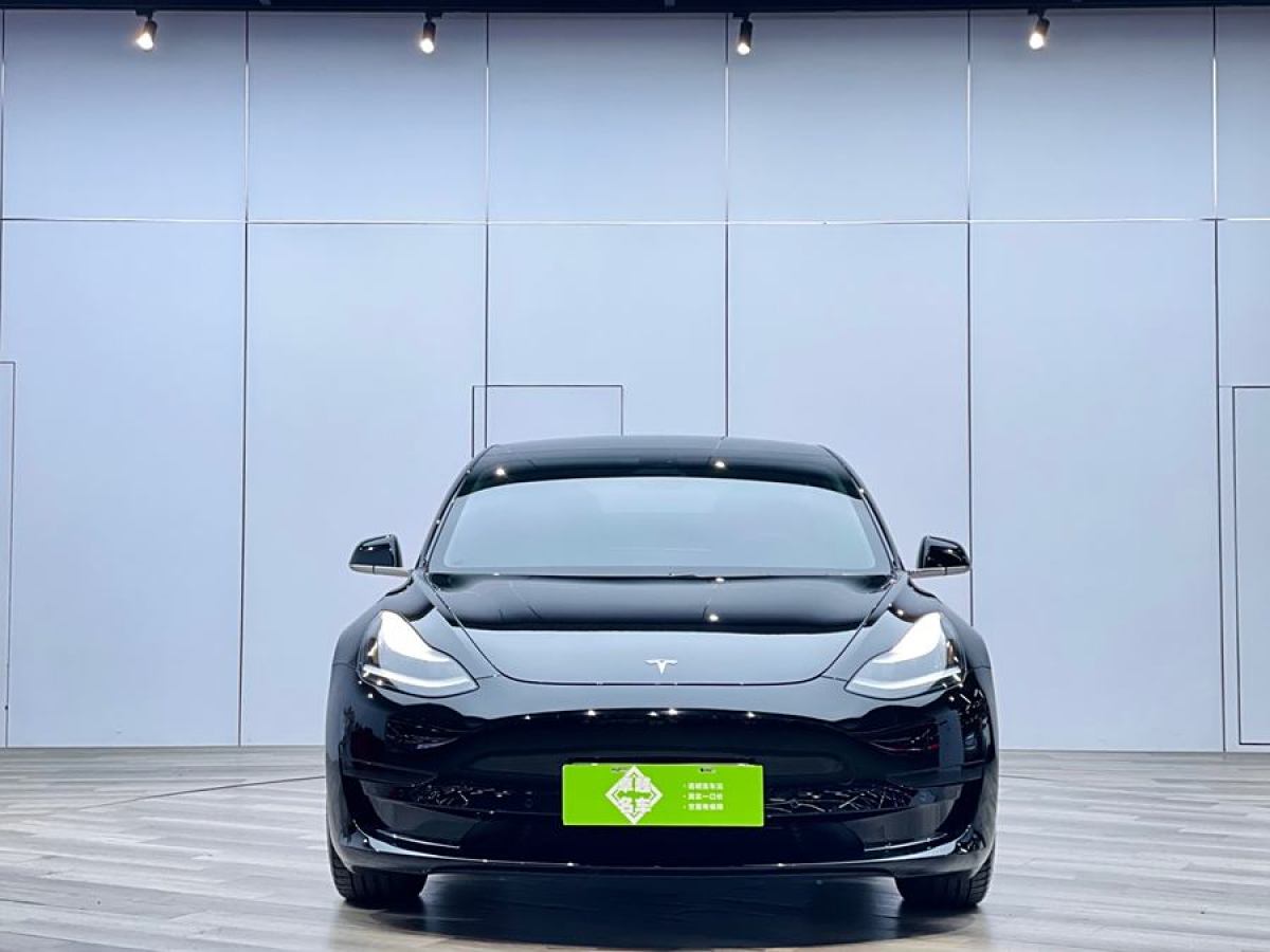 特斯拉 Model 3  2020款 改款 標(biāo)準(zhǔn)續(xù)航后驅(qū)升級(jí)版圖片