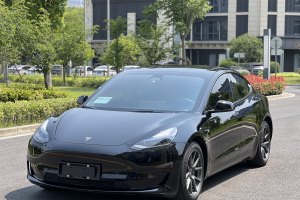 Model 3 特斯拉 后輪驅(qū)動版