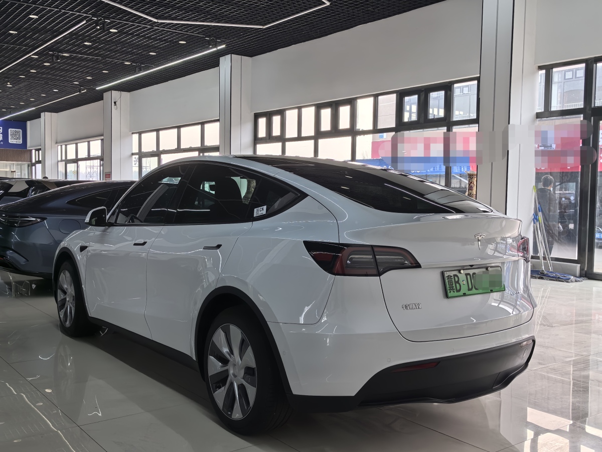 特斯拉 Model 3  2020款 改款 長續(xù)航后輪驅(qū)動版圖片